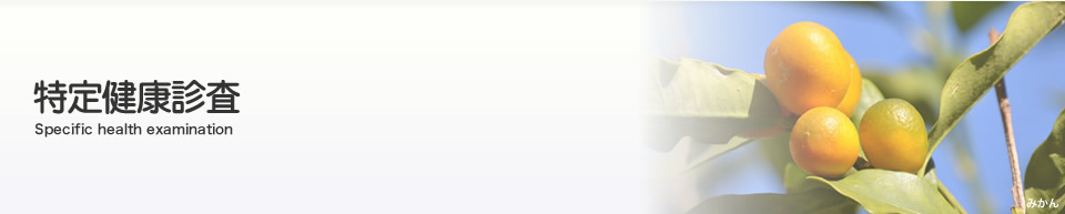 特定健康診査など