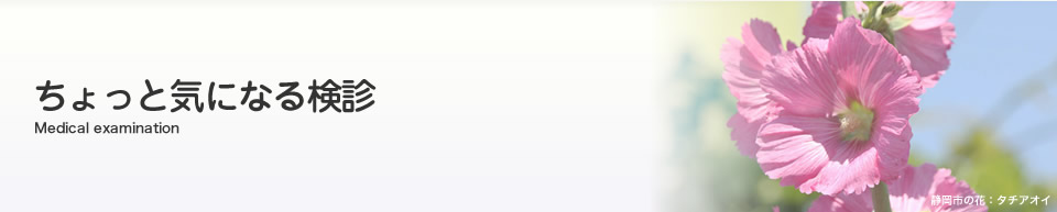 ちょっと気になる検診